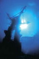 HMAS SWAN WRECK scuba site