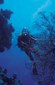  Gemini Wreck - Mindarie scuba site
